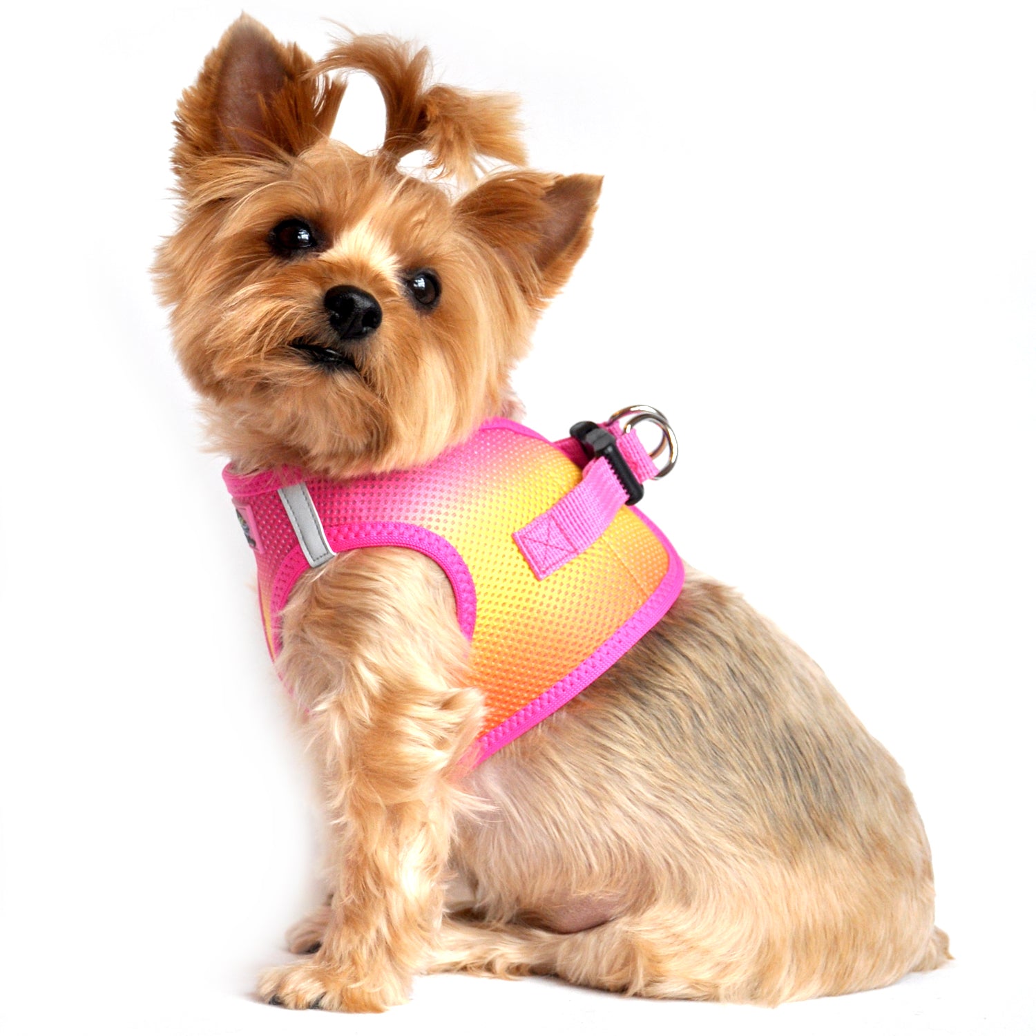 American River Choke Free Dog Harness Ombre Collection - Raspberry Pink and Orange