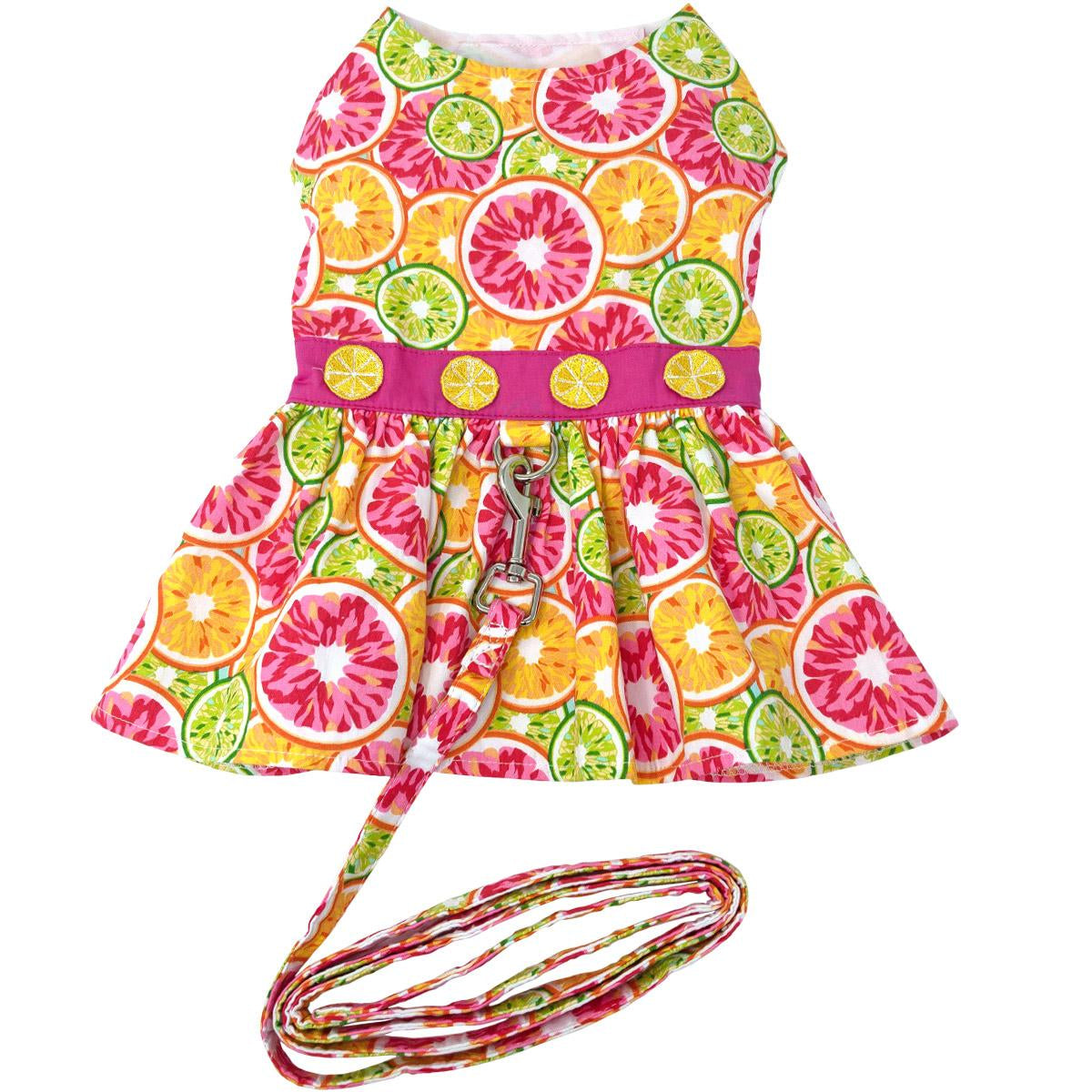 Citrus Slice Dog Dress with Matching Leash