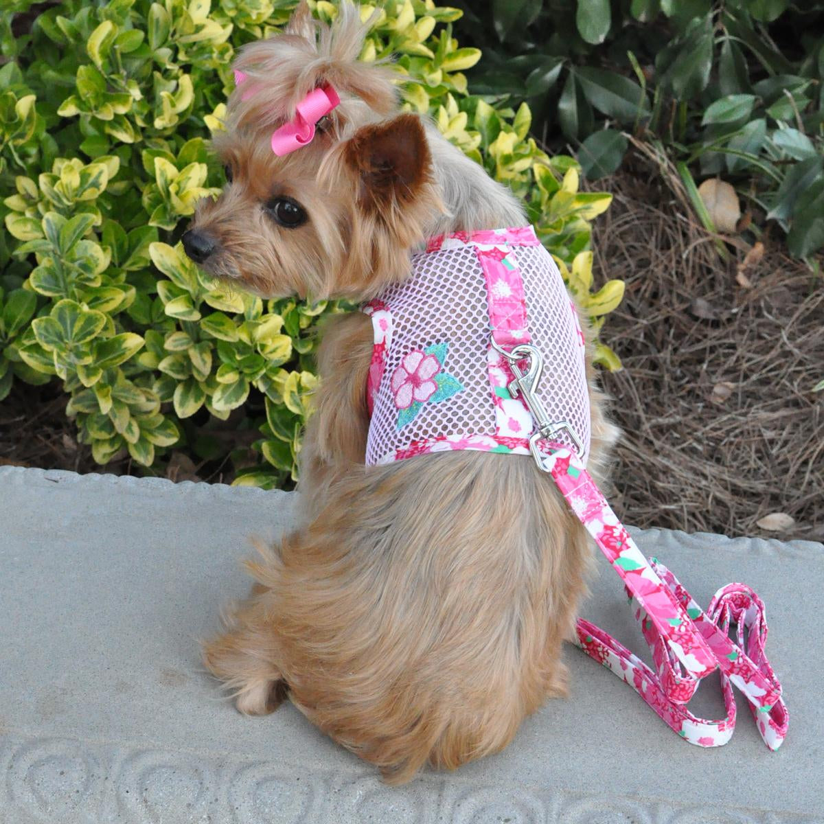 Cool Mesh Dog Harness with Leash - Hawaiian Hibiscus Pink