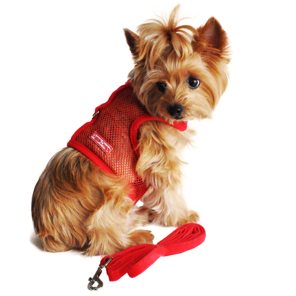 Cool Mesh Dog Harness with Leash- Solid Red