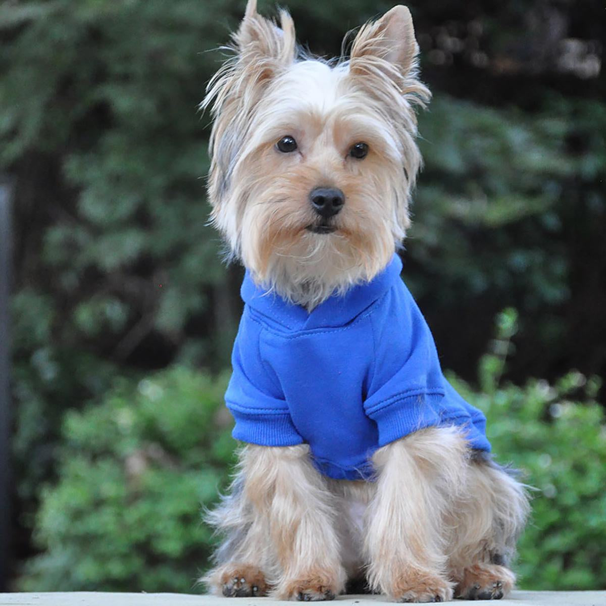 Flex-Fit Dog Hoodie - Blue