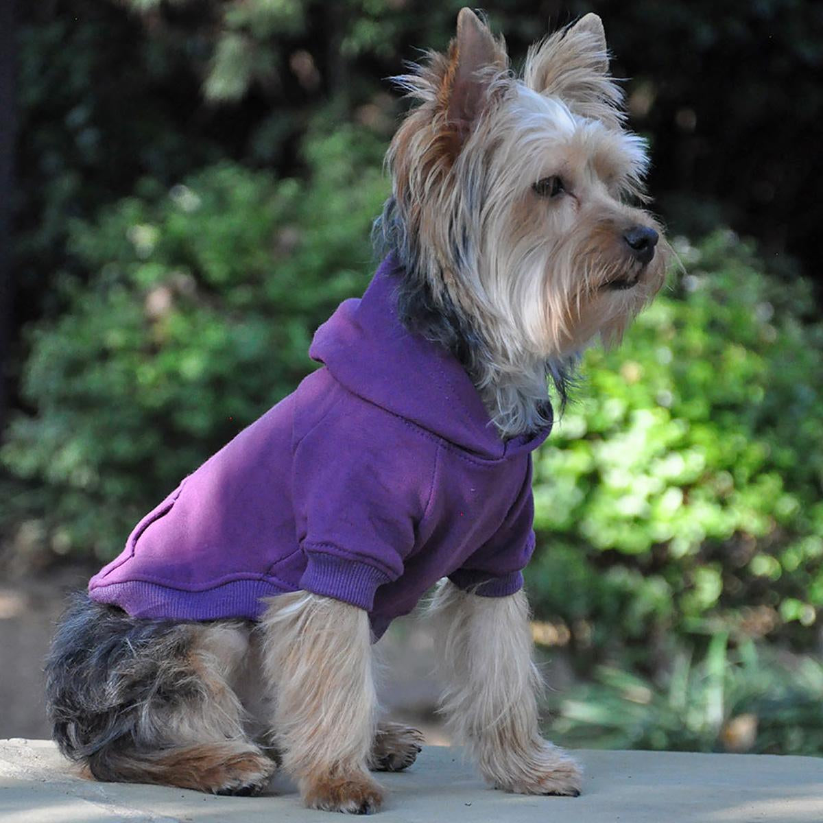 Flex-Fit Dog Hoodie - Purple