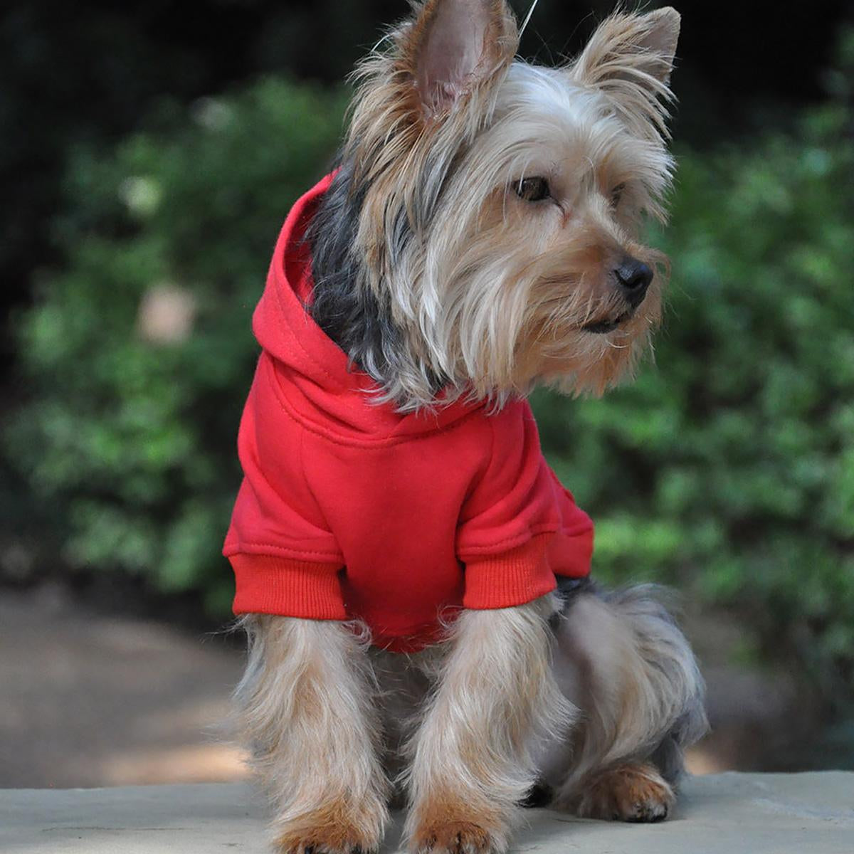 Flex-Fit Dog Hoodie - Red