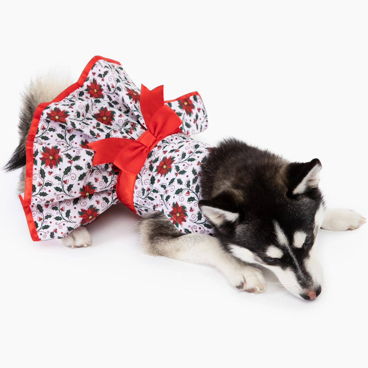 Holiday Dog Harness Dress - Holly