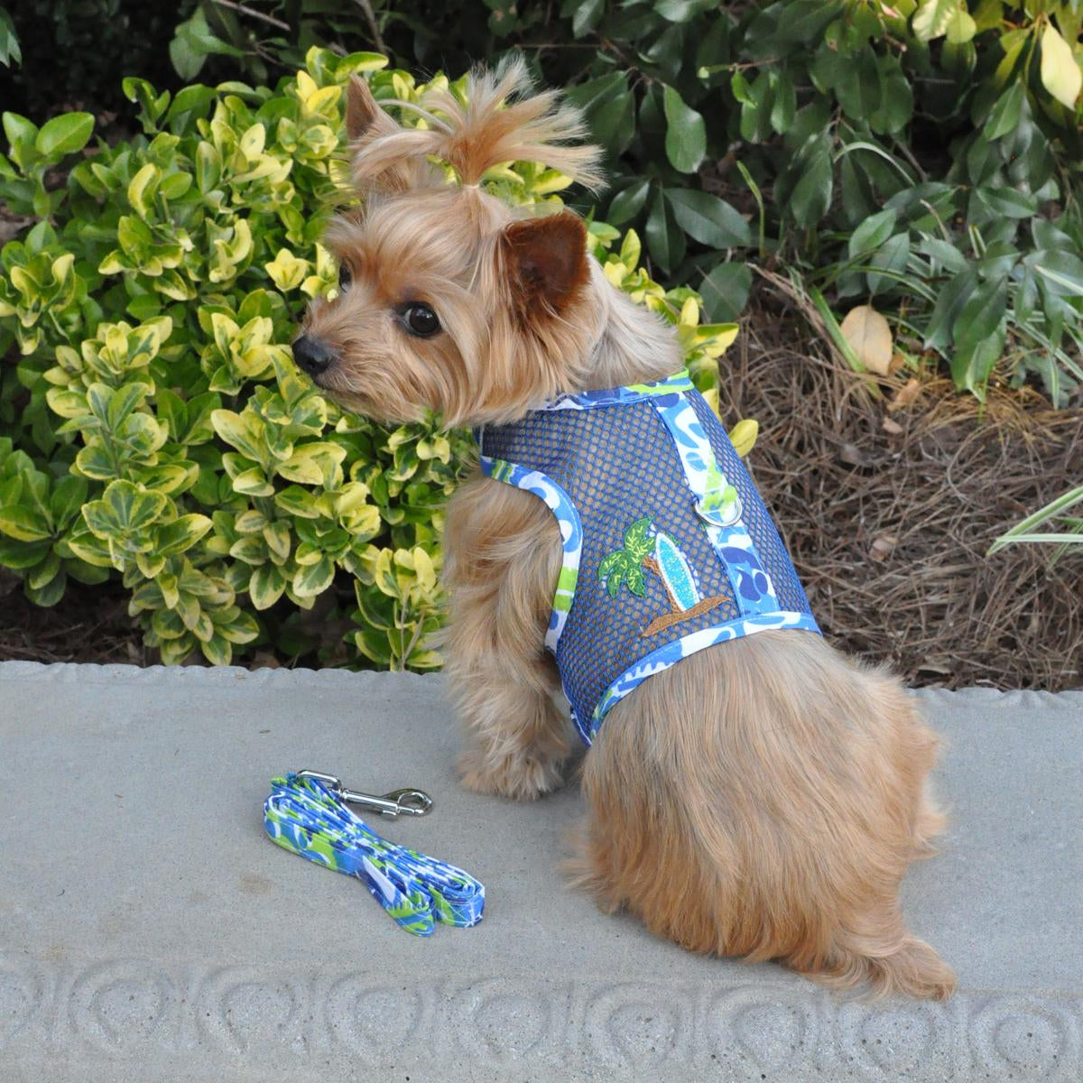 Cool Mesh Dog Harness with Leash - Surfboard Blue and Green - Ocean Blue and Palms